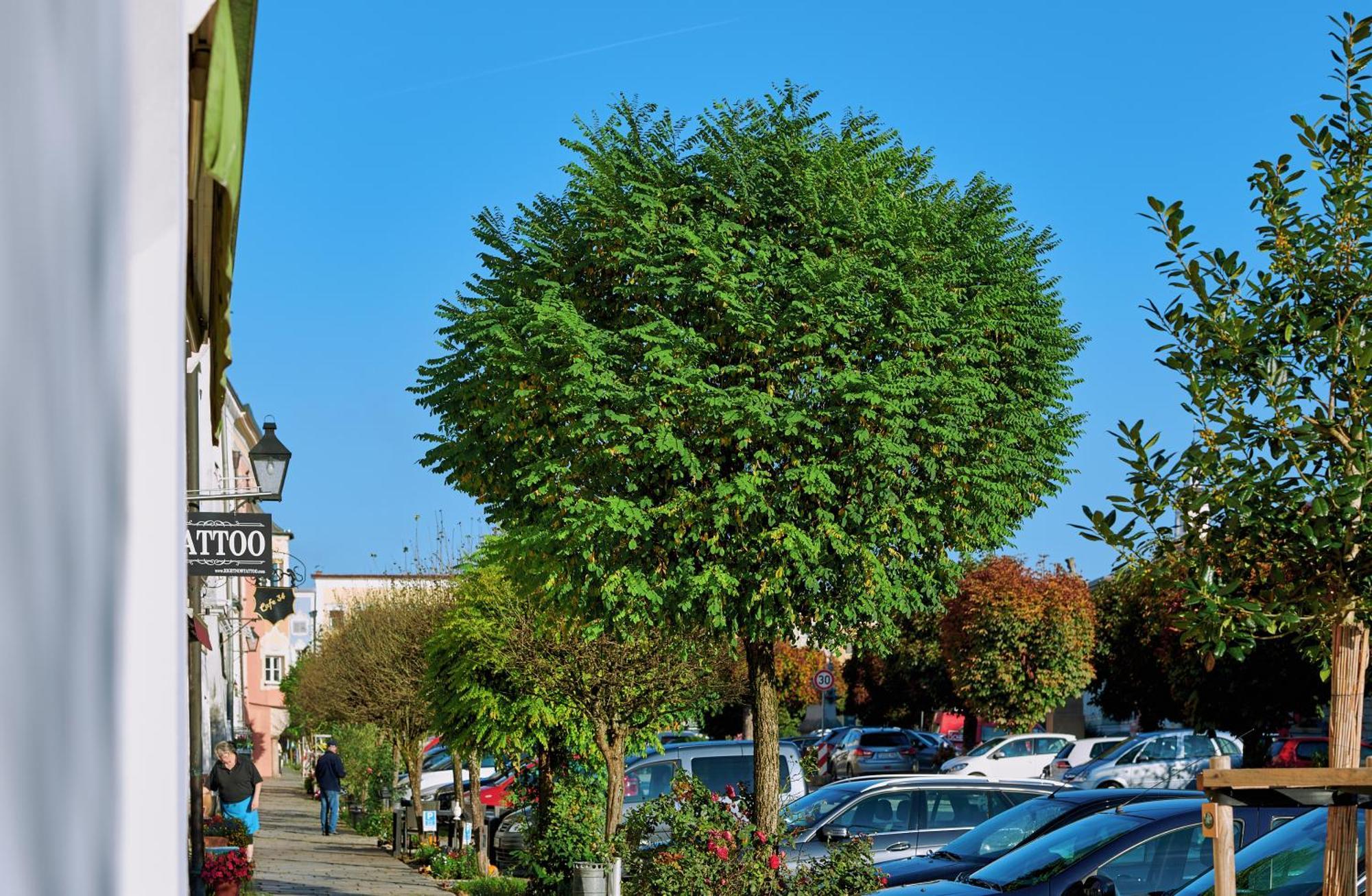 Ferienwohnung Tittmoning Zwischen Salzburg, Burghausen Und Oesterreich المظهر الخارجي الصورة