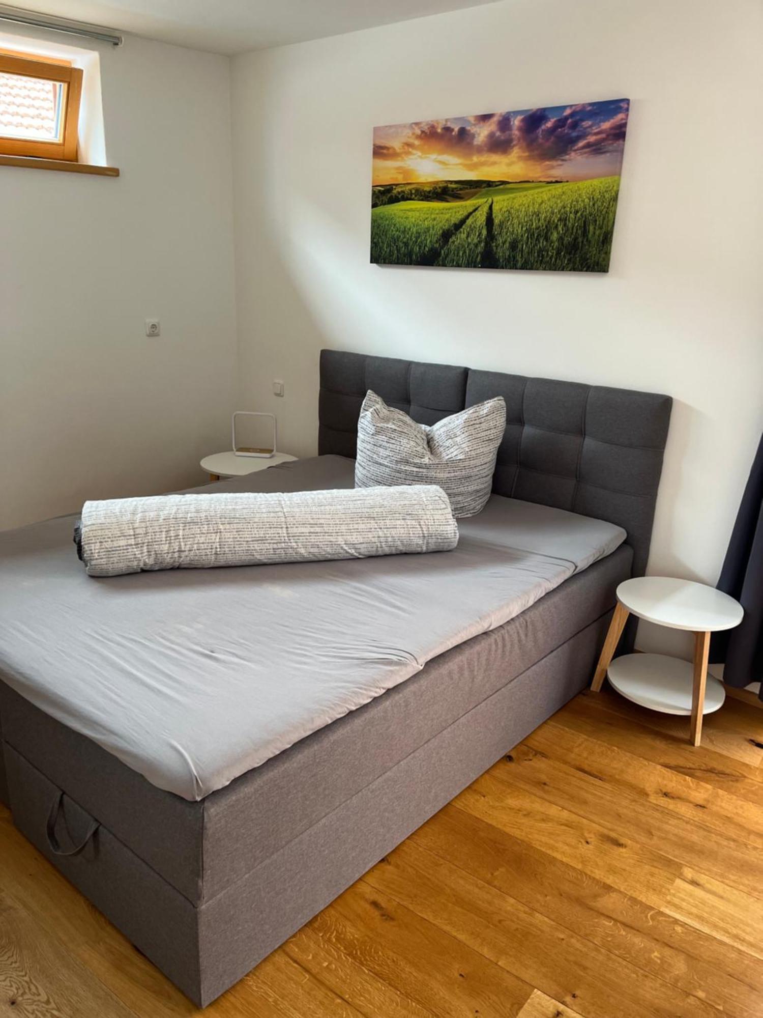 Ferienwohnung Tittmoning Zwischen Salzburg, Burghausen Und Oesterreich المظهر الخارجي الصورة